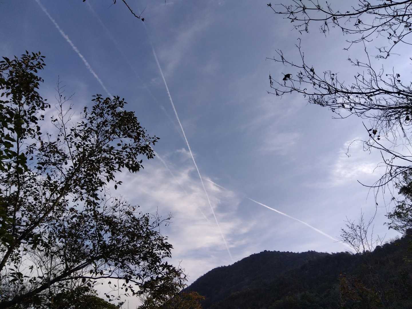 見上げると飛行機雲だねぇ～✨
