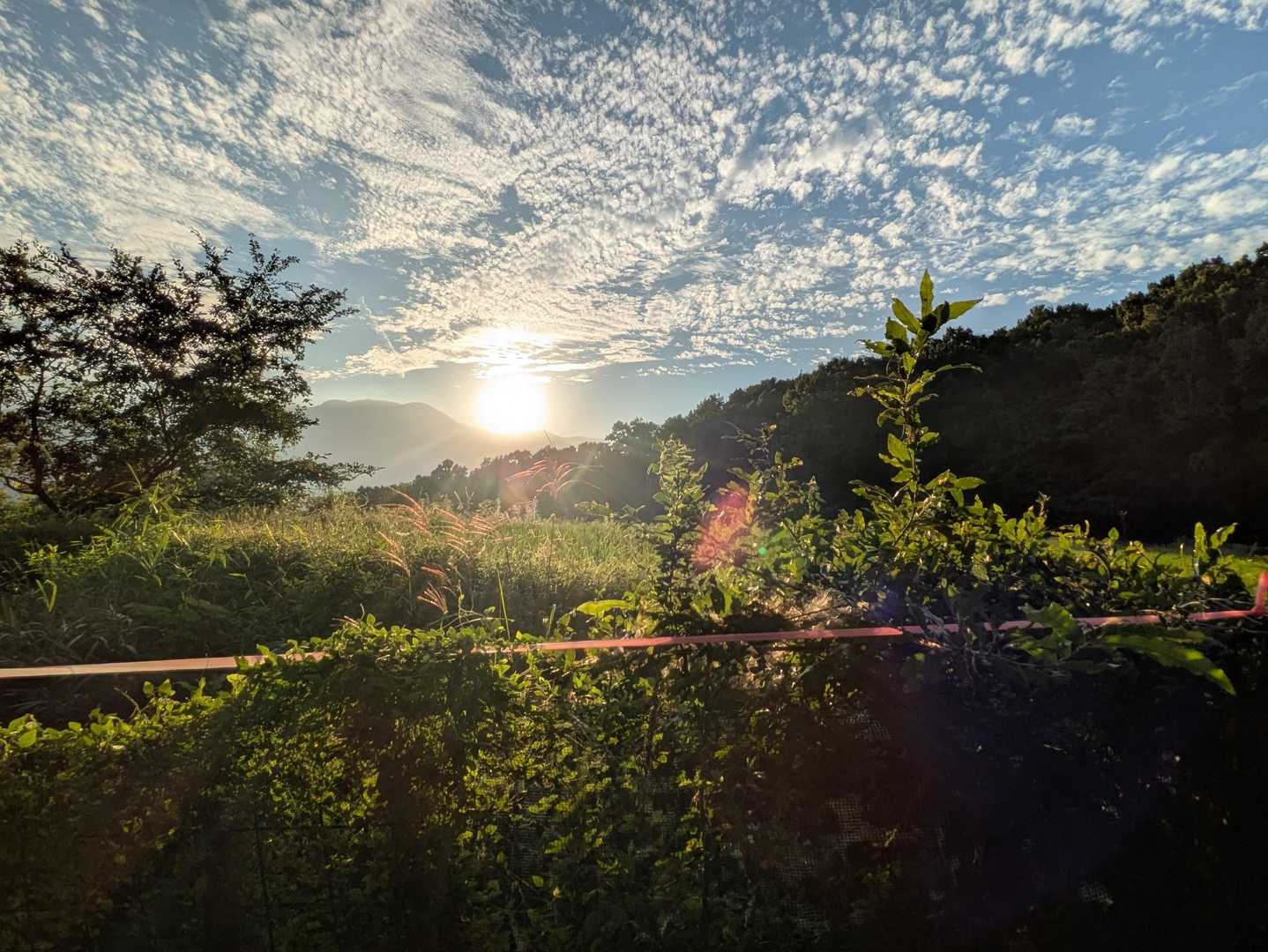 すっかり陽が落ちました☀
よくがんばったーーー🙌