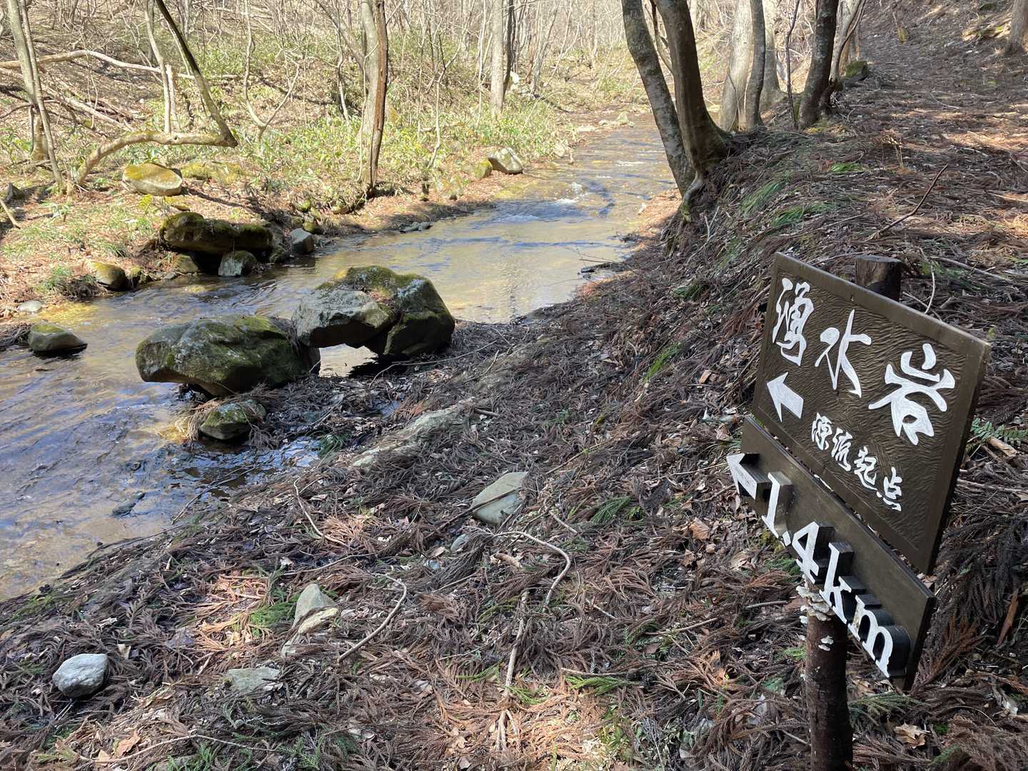 「湧水岩」ってなになに、この川を渡って1.4kmも歩く？先にピンクリボンも道も見えないのだが。