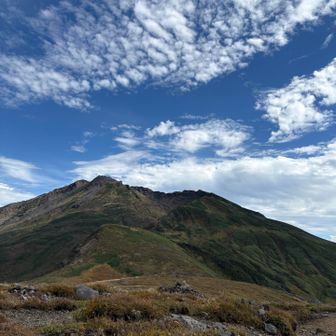 山頂下の平原は草紅葉がかなり進んでる様子🍂