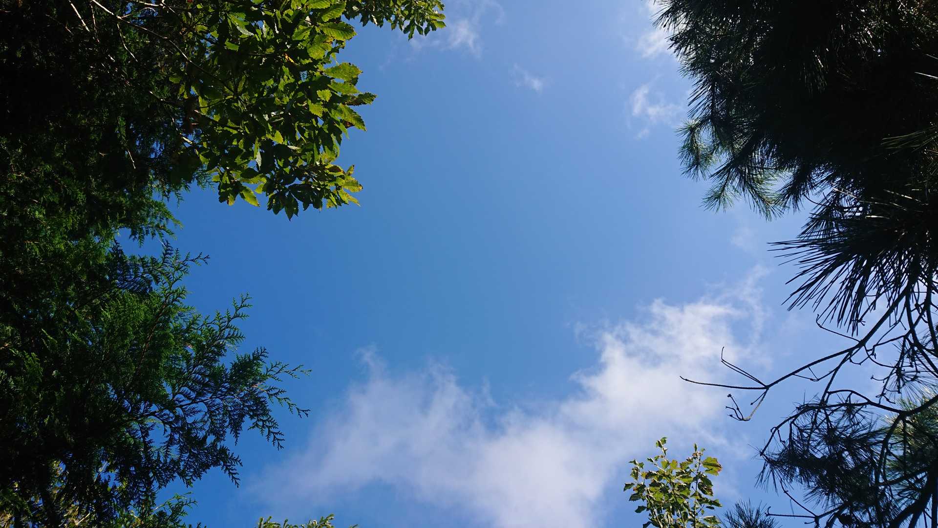 良い天気☀️