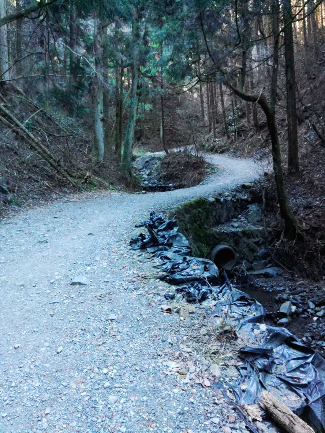 景信山 往復コースの写真