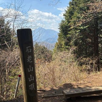 頂上からの眺望