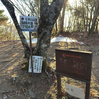 稜線に乗りました。ココからしばらくはご褒美ロードです♪