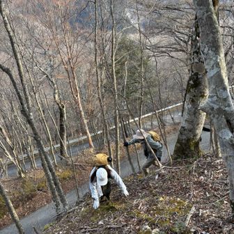 駐車場からショートカット