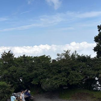 なんと雲海が見れました