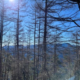 「サヲウラ峠」からの景色