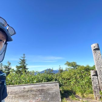 平日早朝、独り占め