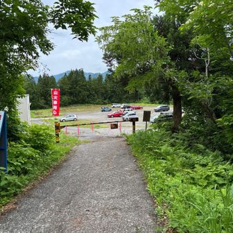 林道を終えて駐車場に無事戻ってきました。熊さんにも会わず、雨が降る前に下山できてホッとしました。
家に帰ったらやっぱり雨☔。今日は一日雨模様だったようです。梅雨の時期ですが、ヒメサユリ🌸に癒される山行ができました。新潟に思いきって出かけて正解でした。お疲れ山でした。