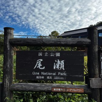 登山口で入山料の試験導入をしていました。

木道は1メートル20万円するそうです💴

これまで無理で歩けたことが信じられないです…