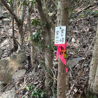 やっと堂ヶ峰の登山口に着いた