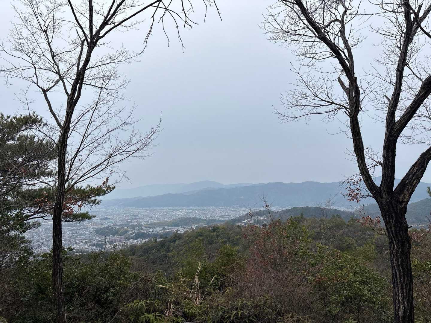 先ほどの山