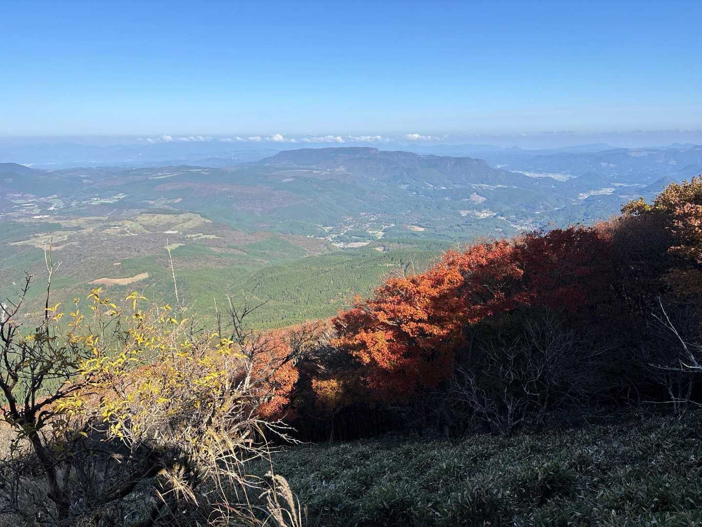 大分登ってきた