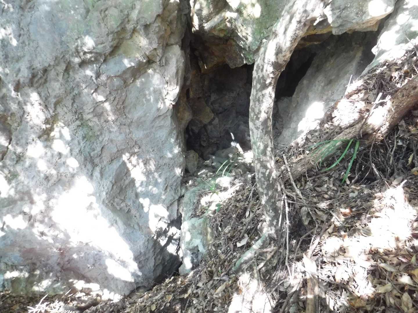 ピーク近くのさっきの凹み池田湖側の岸壁降りてみます😅直ぐに何個もの坑道発見