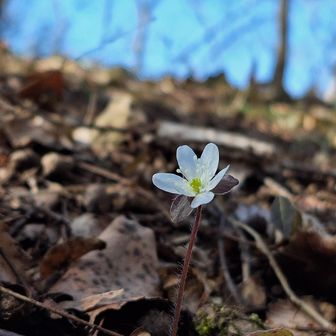 エクセル栄養君