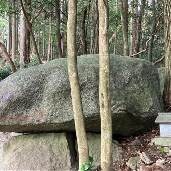 かえる石🐸