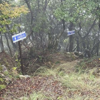 この右手から登ってきた