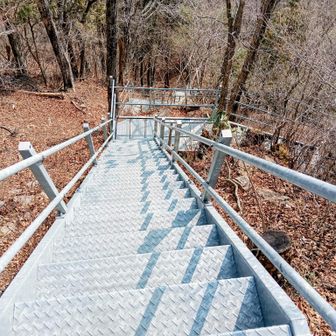 この先は階段が続いてます
今日は行かないけど写真だけ📸