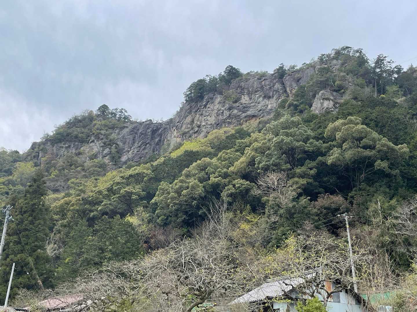遠見山-納古山 周回コースの写真