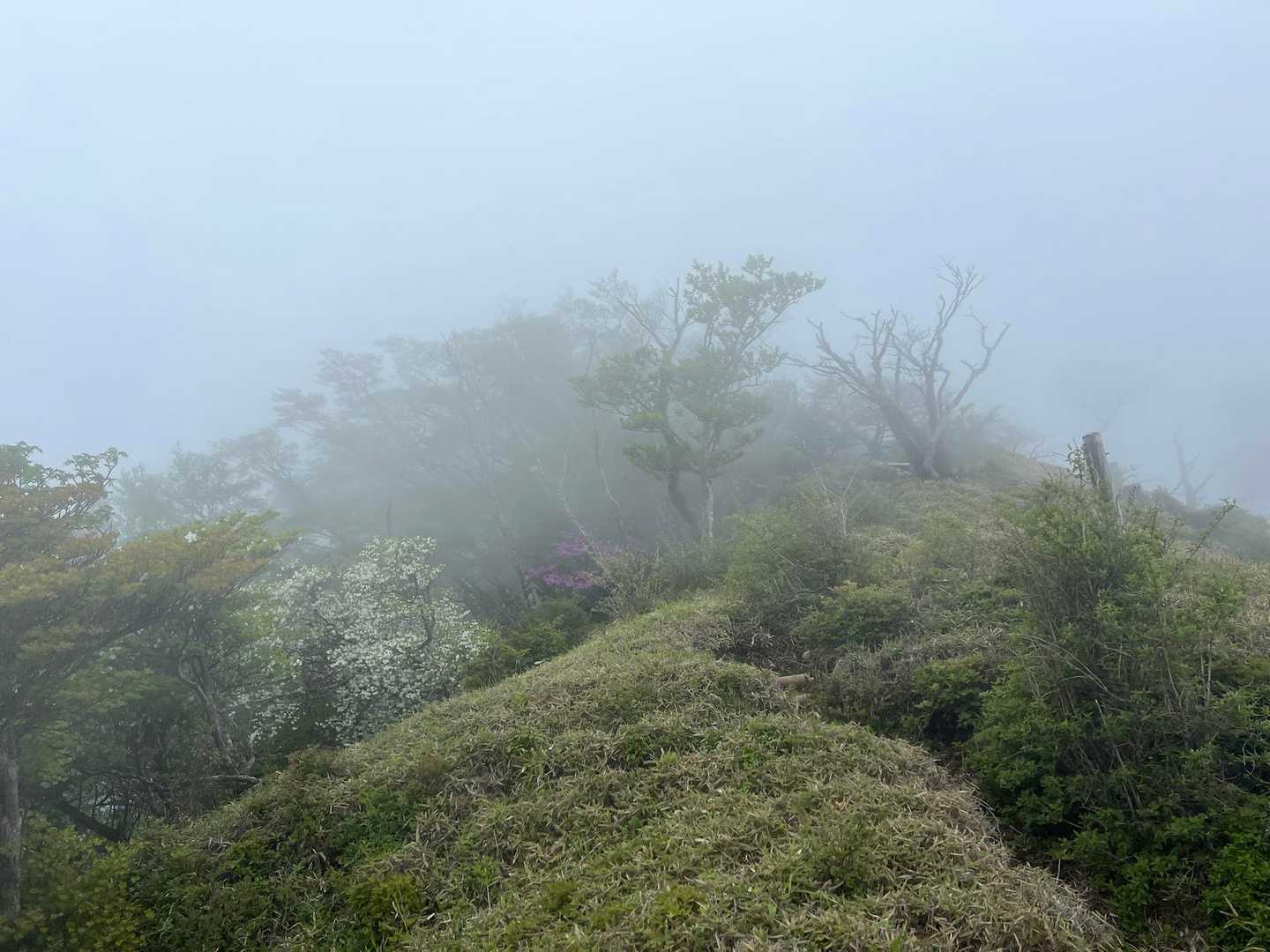 14時半までに登りたかったけど、ちょっとゆっくり歩き過ぎたな。
