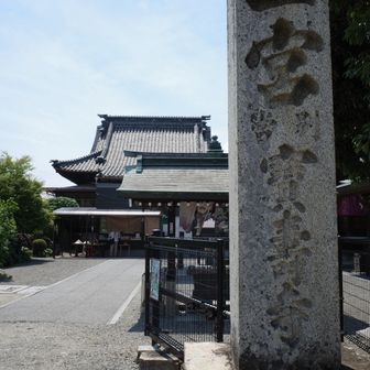 あの山道を戻るわけにはいかないので諦めて朝近くを通った62番宝寿寺へ。
