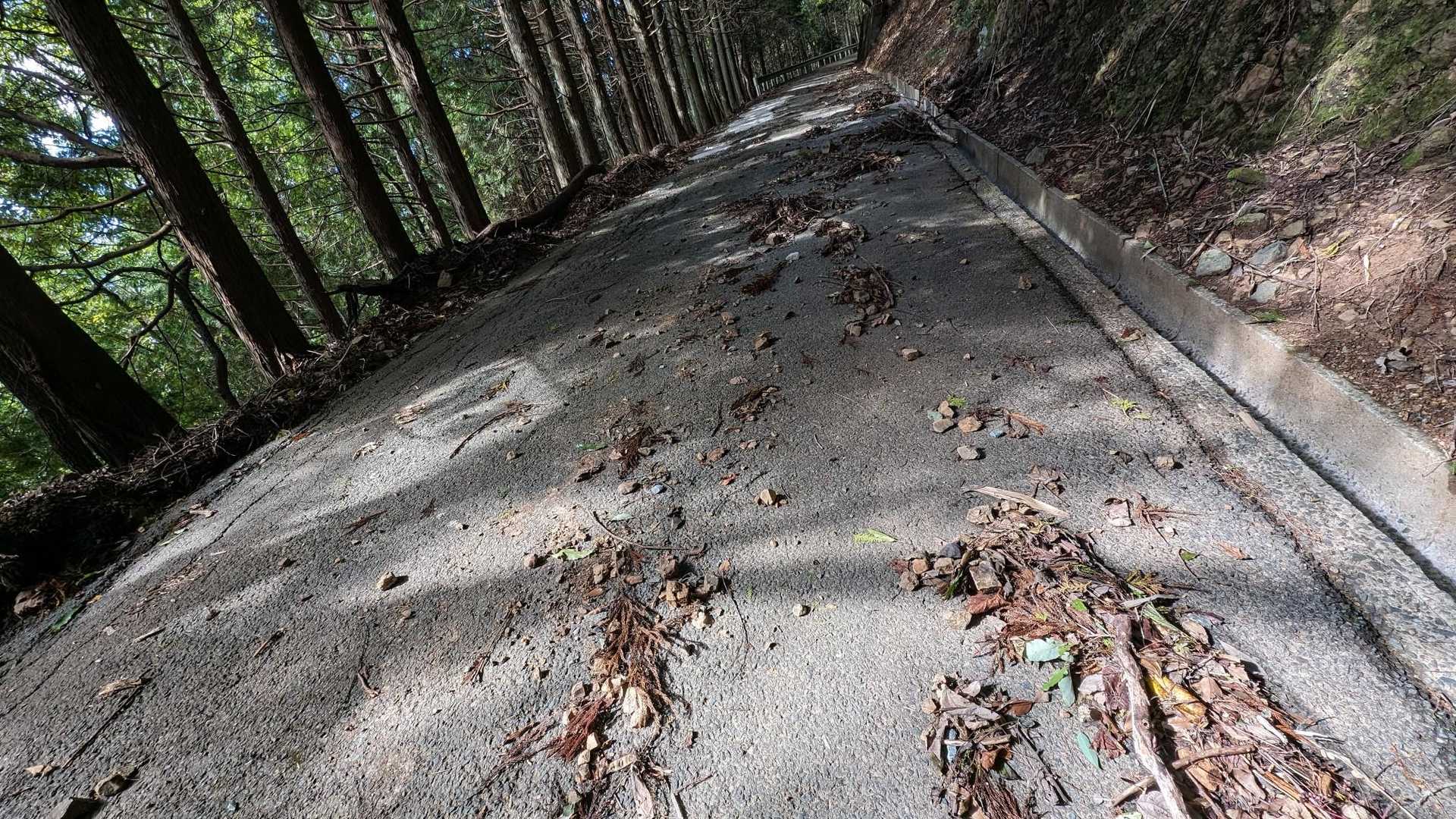 栗木神社までは民家があるけど、先は転石だらけ
全部は無理だけどタイヤのラインくらいは石や枝を寄せながら歩いた
あとは夢中でやってたので写真は無いが、やはり栗木神社の上下くりいが荒れている
車で行けなくはないが現実的ではない。