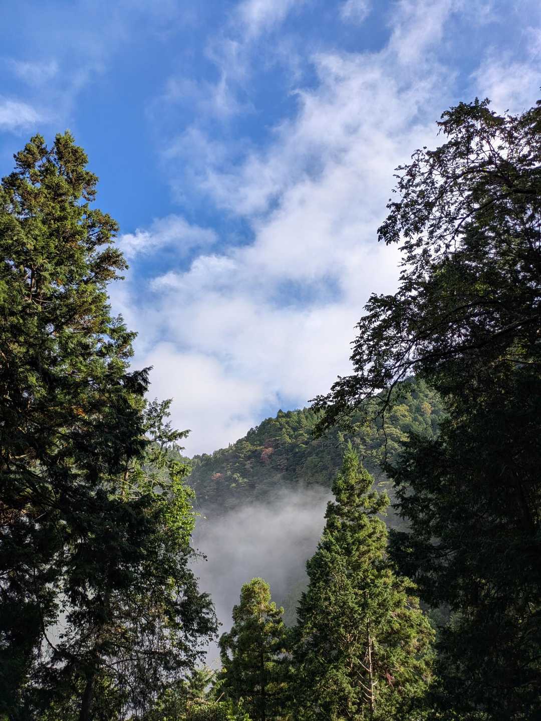 下山直前に青空🔷が…
登山あるあるですね😐