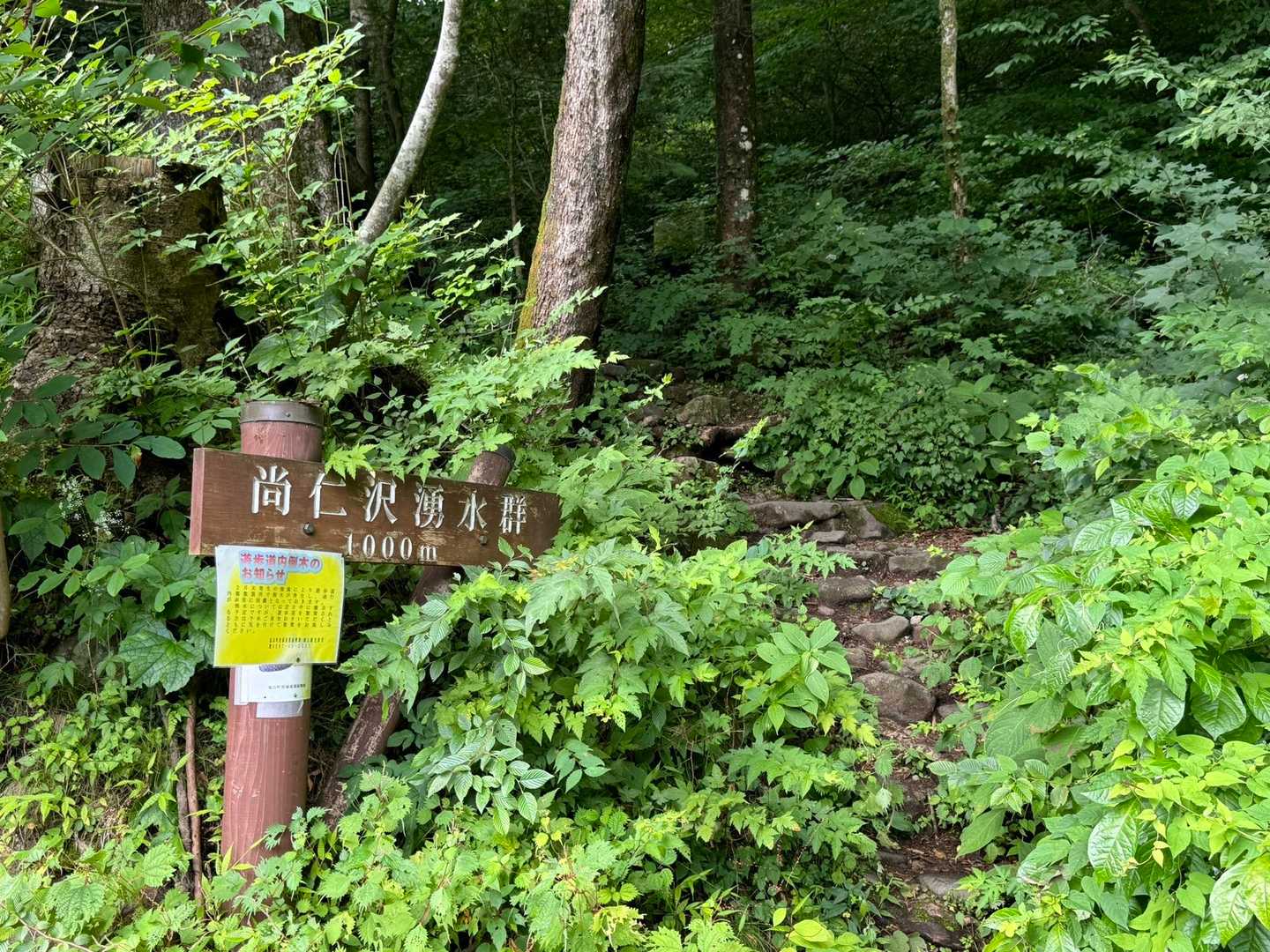 さぁ行きましょう
何が咲いてるかな〜♪