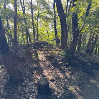 先ほどとは別の積石塚を見つけました