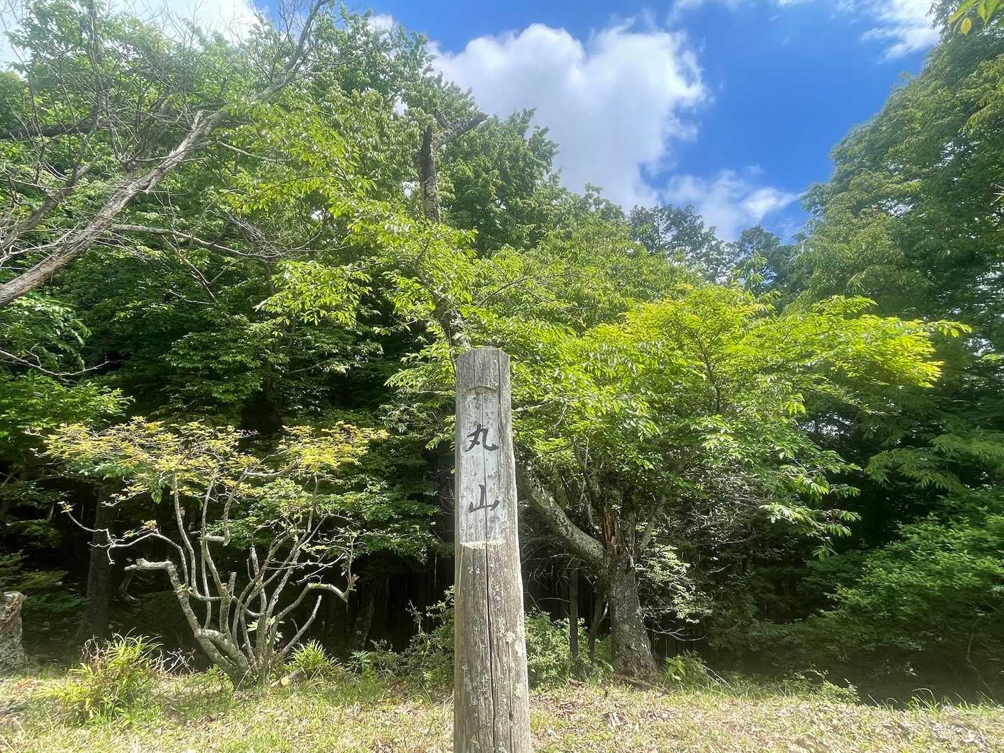 丸山山頂です　山頂に桜の木があって良い感じでした♪晴れてる☀️