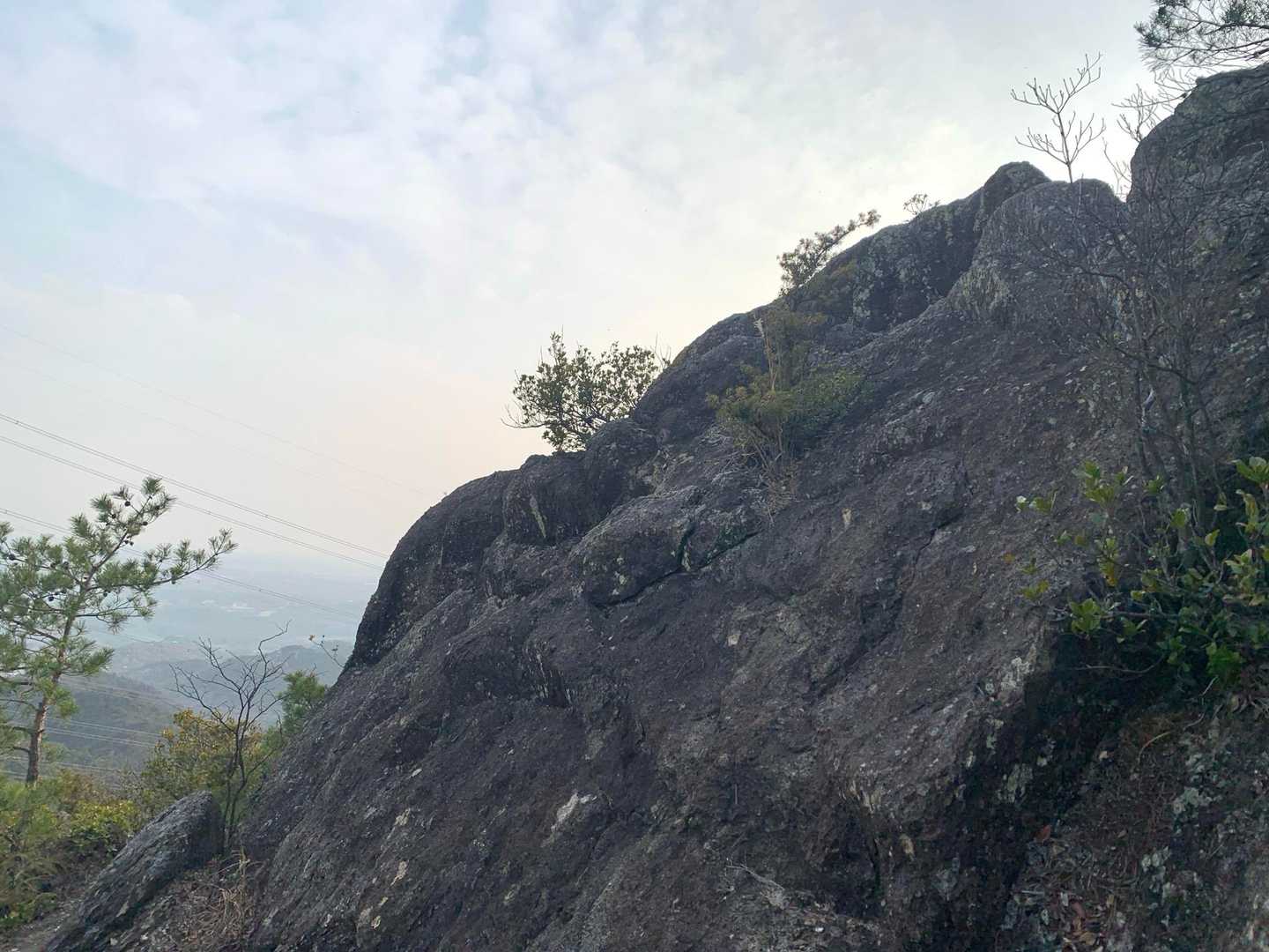 山口登山口-大坂山取付き-P186-P320-大坂山-背山 周回コースの写真