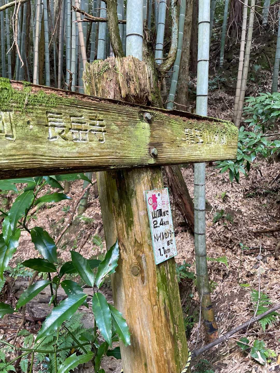 龍王山 周回コースの写真