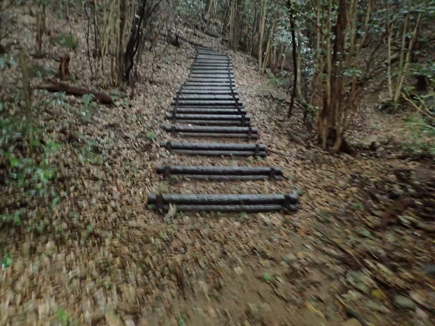この辺で生き生きした奴らが😅