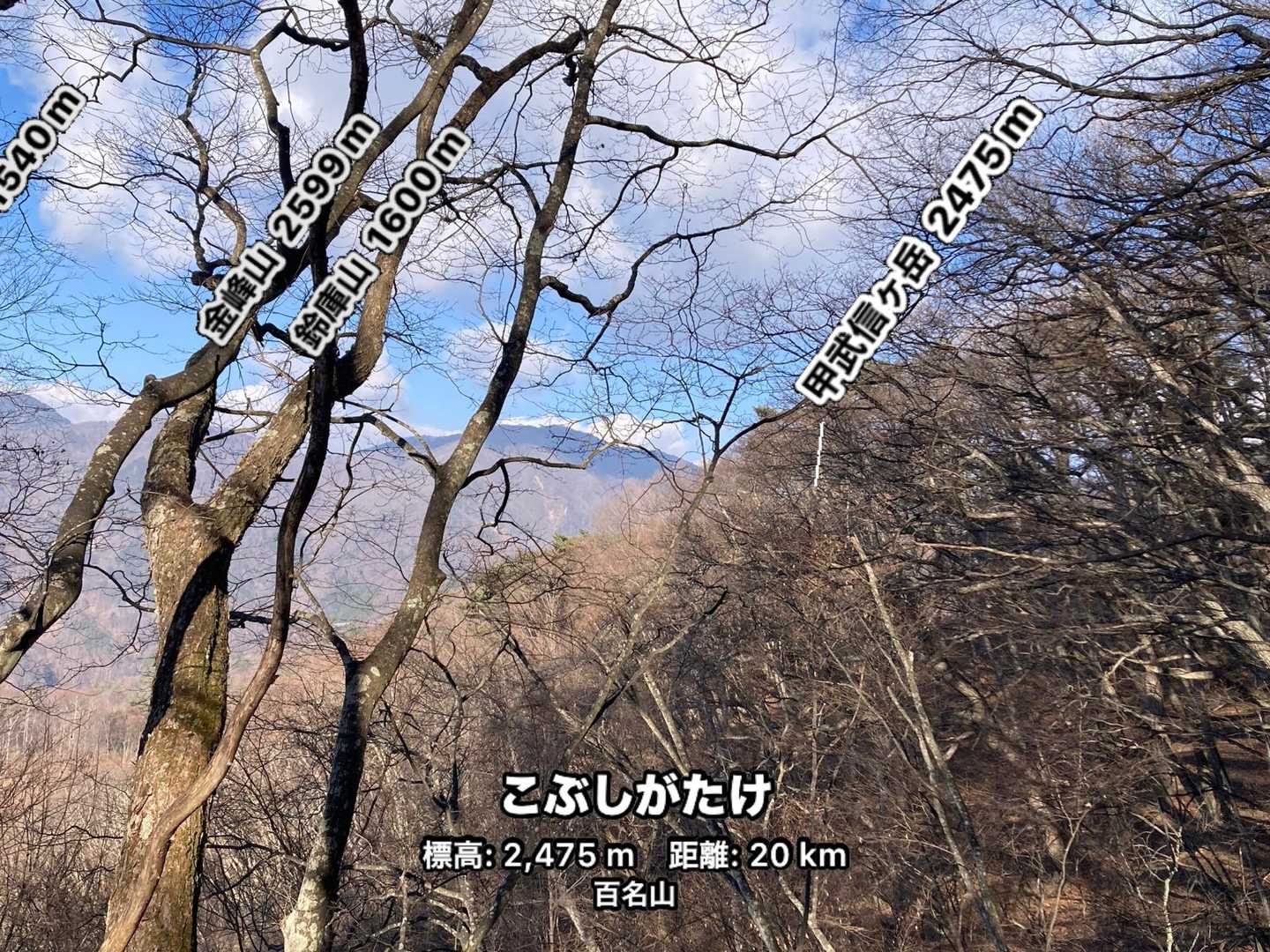 左側に奥秩父縦走路がチラリ。