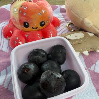 実家の父が育てた🍇
苗をもらって育ててみたって😆
巨峰かピオーネかわからん品種らしい🍇
でも美味しかったよ😋ありがとう✨