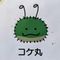 tan_iguchi