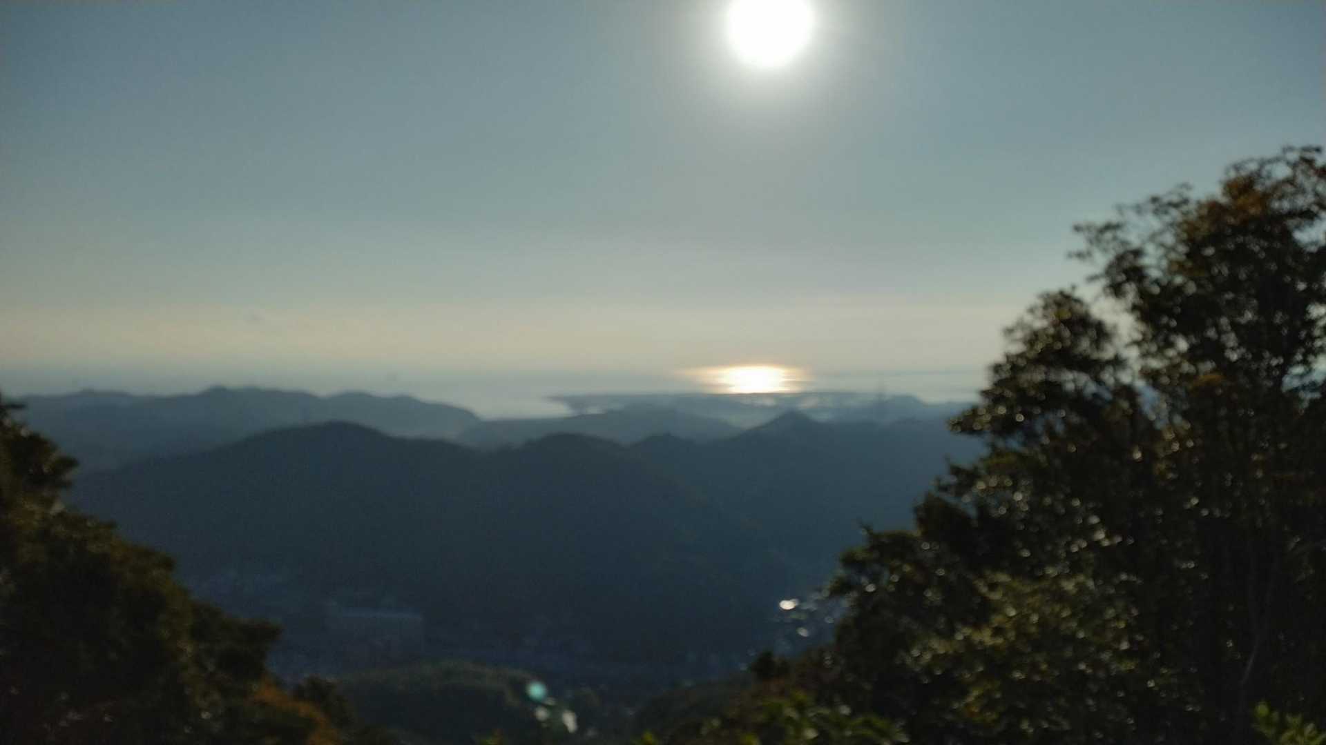 矢筈山 往復コースの写真