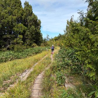木道は余裕がありますが、
大半は苔むした岩ゴロゴロの急坂で
緊張しながら、下ってきました。