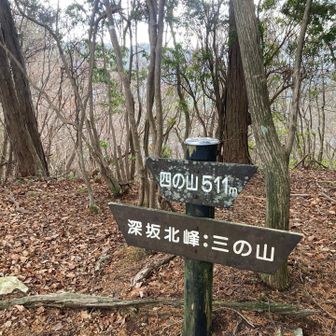 四の山