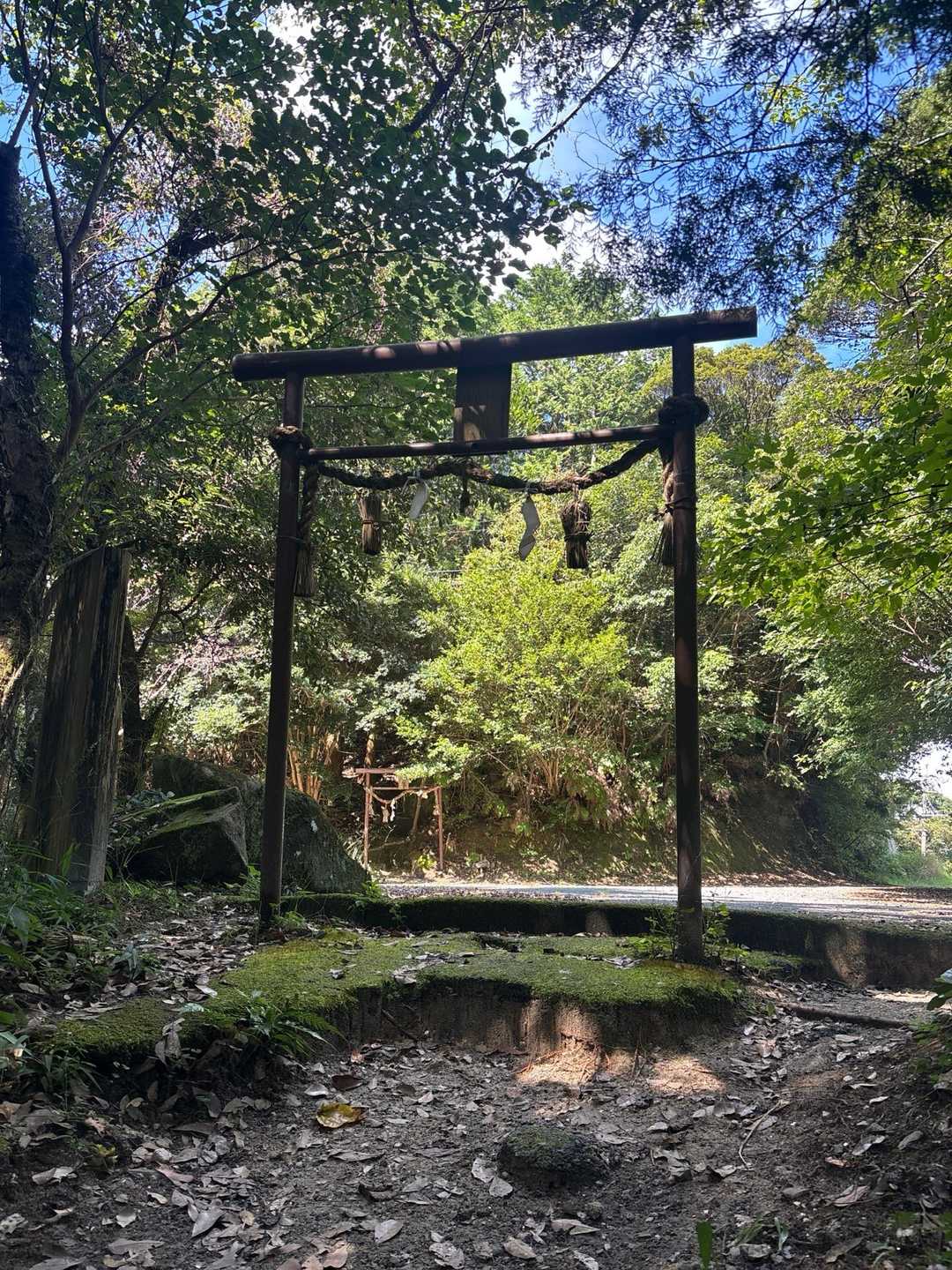 山頂まで、あと少しです🤏
