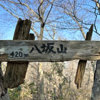 八坂山（標高420m）に到着です❗️
短距離で2座ゲットできるなんてお得だね👍
