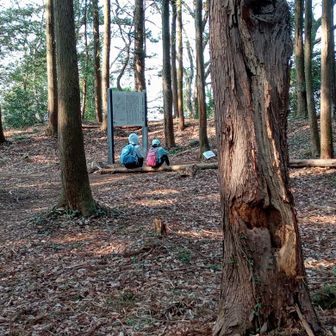 城山山頂【青山城跡】親子連れのハイカーが