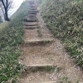 桜の花びら舞い落ちる階段を
さぁ山頂です😃