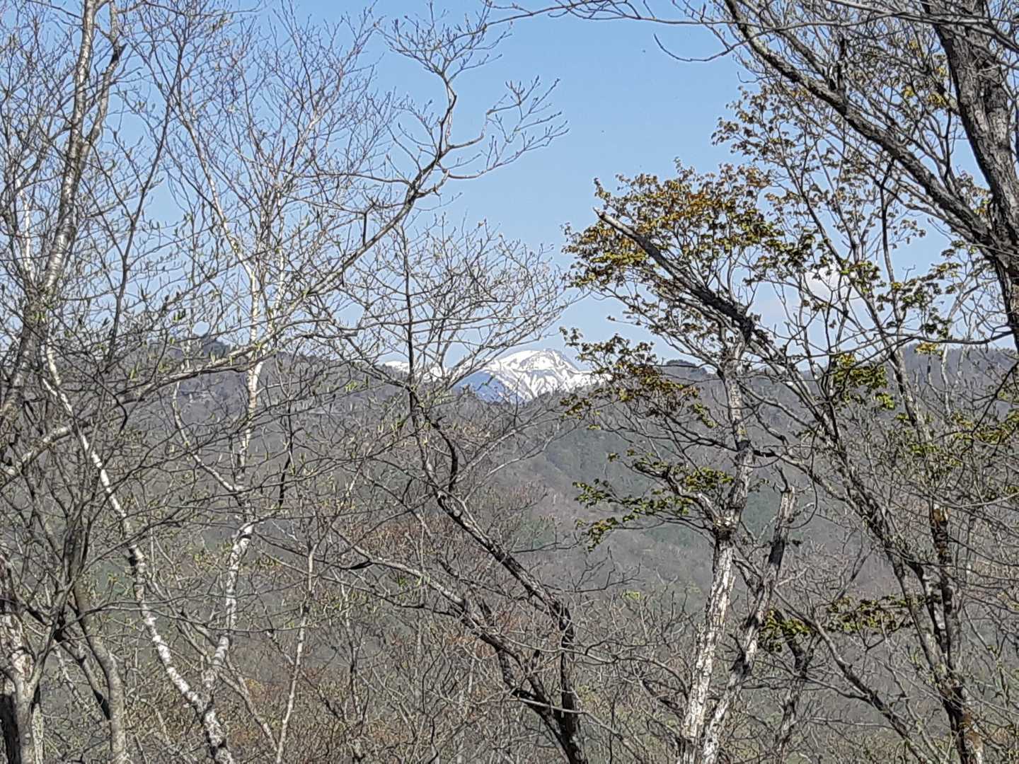 ここからは
チラッと日光白根山🎵