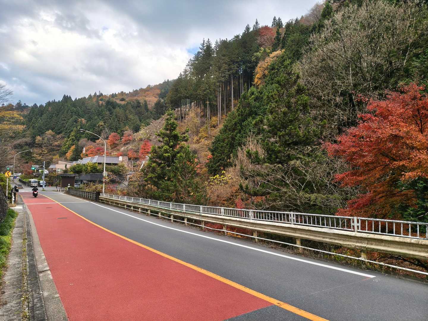 下は紅葉してる