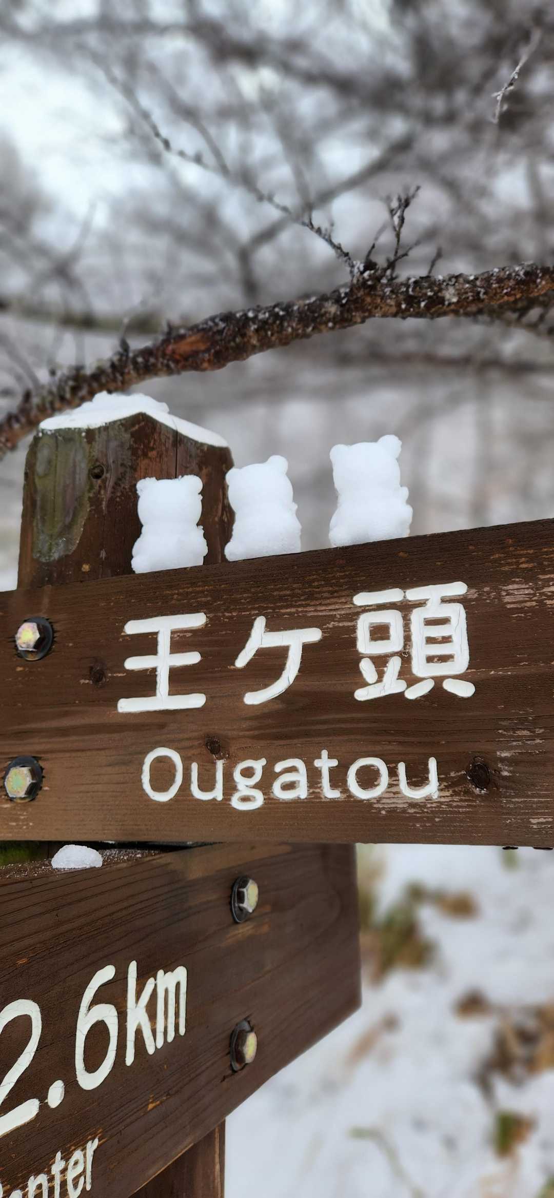 看板に乗せてみちゃいました
(｡-∀-)うふぅ