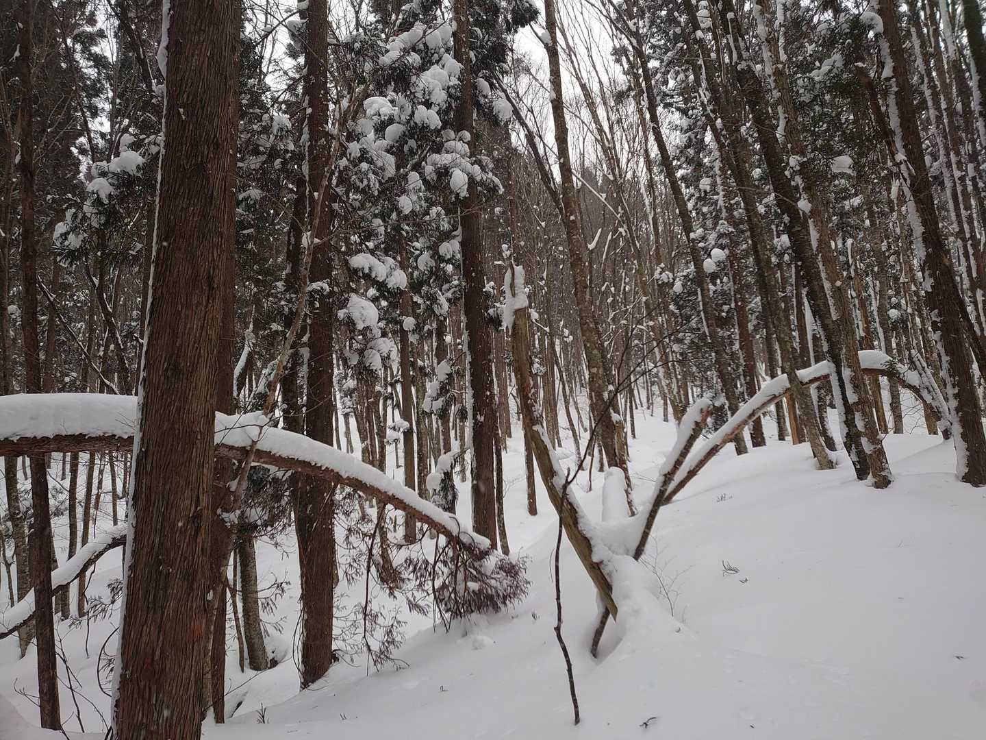 🙆頑張って．．
頂上向かってますから．