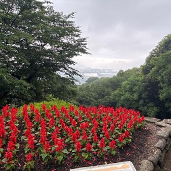 永源山⛰️