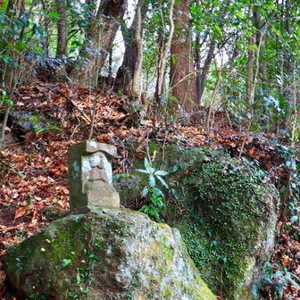 「強くなりたくば喰らえ！」

…が相応しいでしょうか。