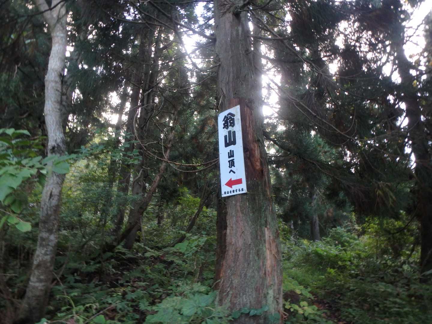 翁山 周回コースの写真